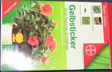 Gelbsticker.webp