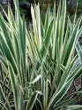 Test.webp