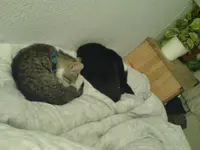 DSC00300.webp