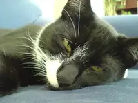 DSC00080.webp