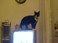 DSC00097.webp