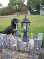 medium_pauliaufdermauer.webp