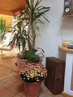 Bild 001.webp