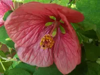 Bild 009.webp
