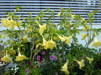 hDSC02304.webp