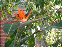 k-Bild 094.webp