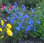 Zwischenablage01.webp