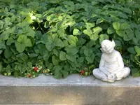 Gartengnom.webp