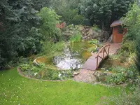 IMG_1507_1_1.webp