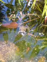 sept.07 030.webp