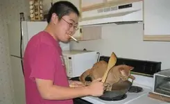 China-Food.webp