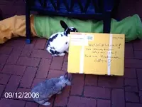 Ankunft Wichtelpaket3.webp