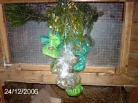 Geschenk2.webp