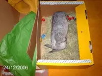 Süße im Paket2.webp