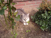 image003.webp