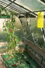 Neue Cam 002.webp