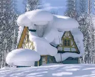 Winter_1.webp