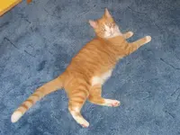 image3.webp