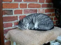 image001.webp