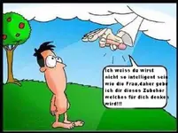 Schöpfung_2.webp