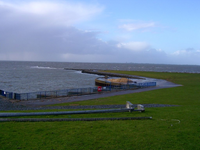 image001.webp