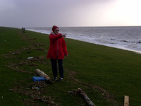 image005.webp