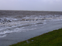 image009.webp