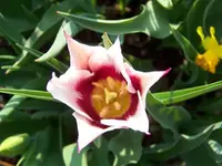 100_4753.webp