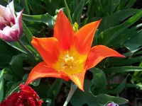 100_4755.webp