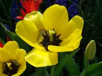 100_4757.webp