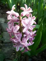 100_4764.webp