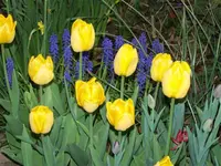 100_4866.webp