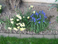 IMG_1511.webp