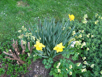 IMG_1512.webp