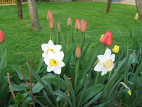 IMG_1513.webp