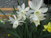 IMG_1514.webp