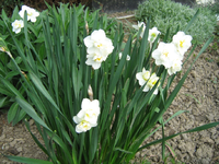 IMG_1517.webp
