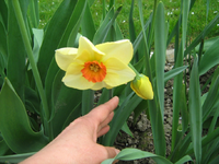 IMG_1519.webp