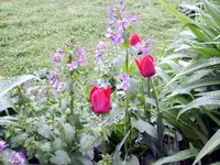 IMG_2220.webp