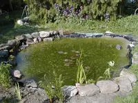 012.webp
