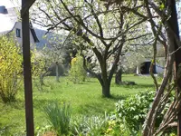 Garten April09 017.webp