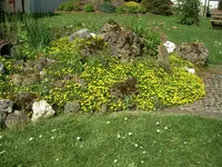 CIMG5320.webp