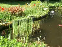 CIMG5324.webp
