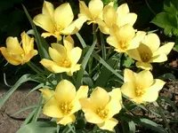 CIMG5329.webp