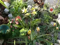 P1050015_600_450.webp