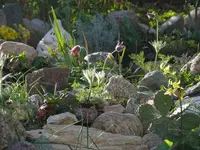 P1050009_600_450.webp