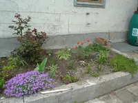 Garten 20.04.2009 005.webp