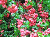01IMG_1780.webp