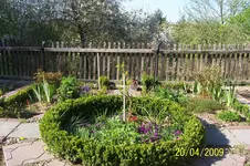 100_1435.webp