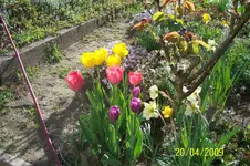 100_1438.webp